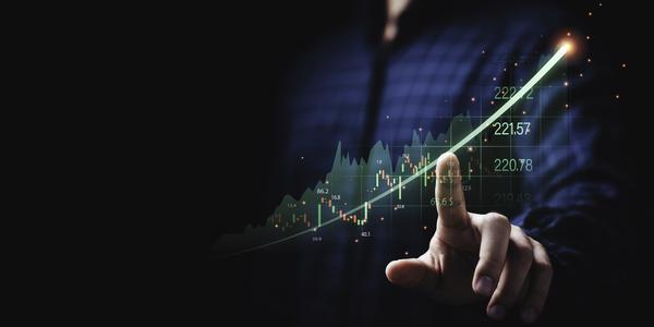 Understanding Bitcoin Whales: A Guide on Identifying and Tracking Large-Scale Investors